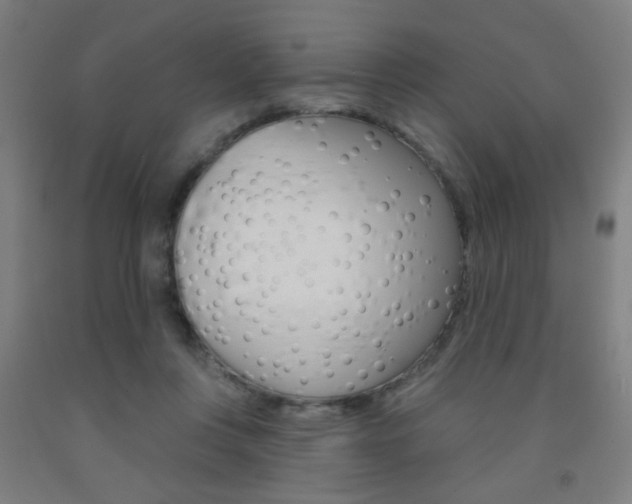 X0000093250359200709261602