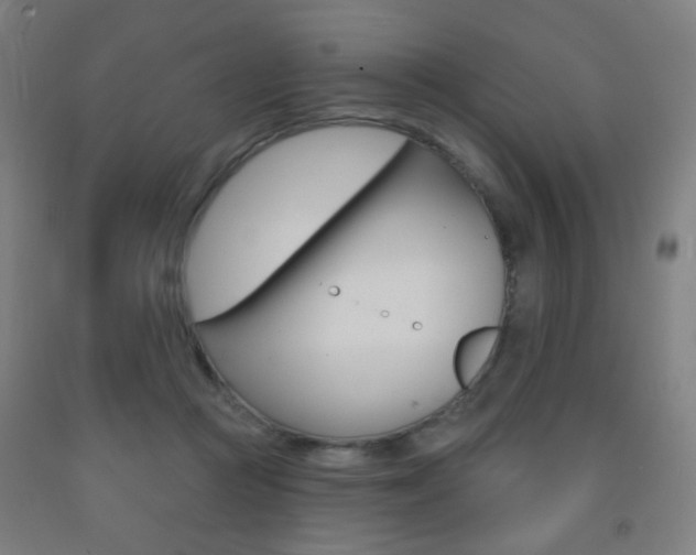 X0000093250361200709261602