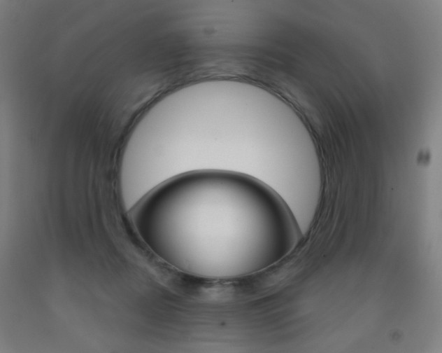 X0000093250362200709261602