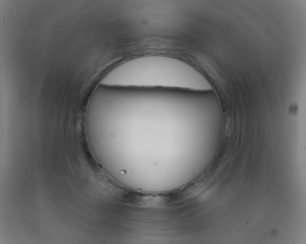 X0000093250363200709261602