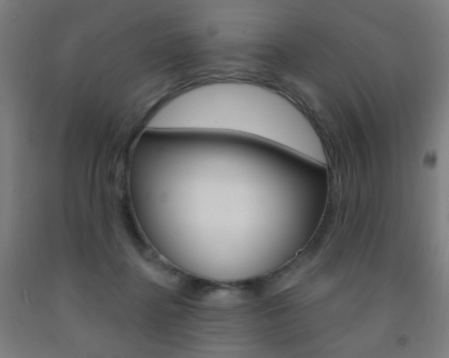 X0000093250364200709261602
