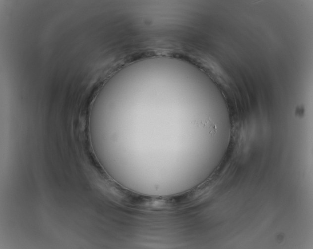 X0000093250365200709261602