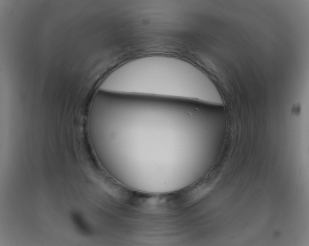 X0000093250366200709261602