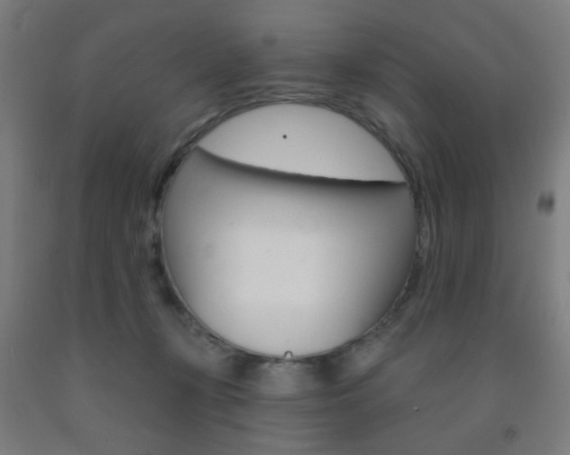 X0000093250367200709261602