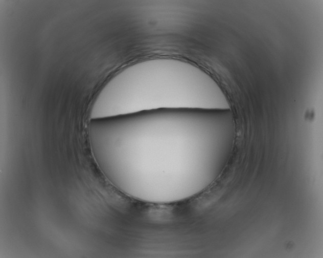 X0000093250369200709261602