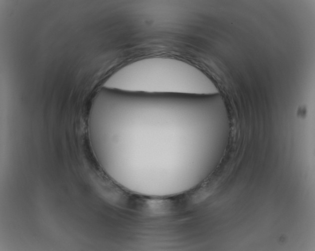 X0000093250371200709261602