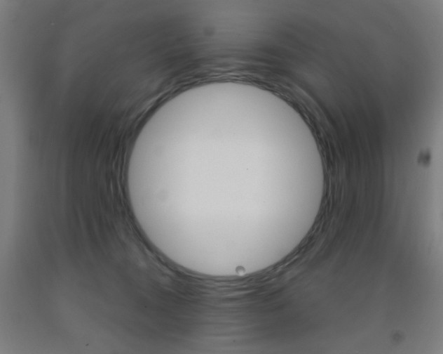 X0000093250372200709261602