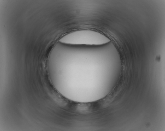 X0000093250373200709261602