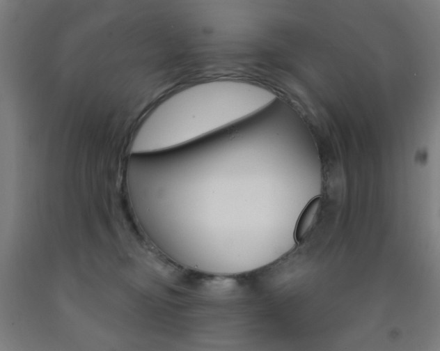 X0000093250374200709261602