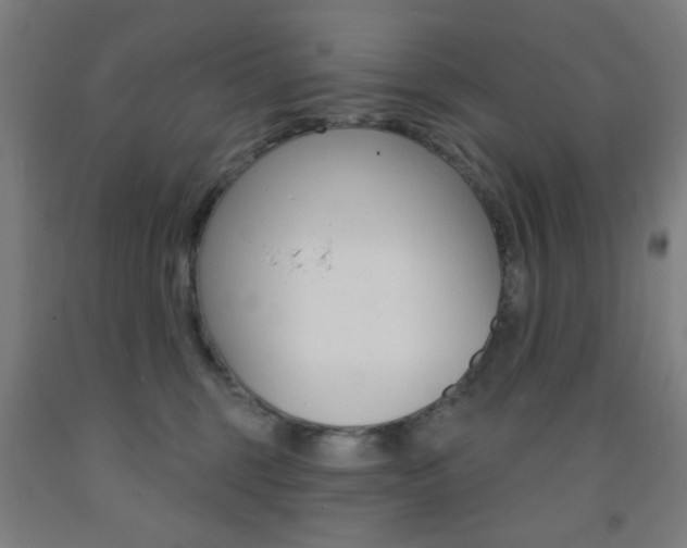 X0000093250375200709261602