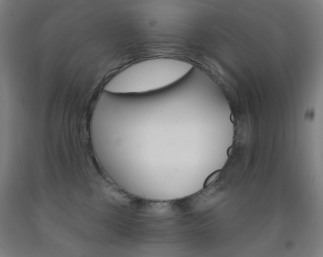 X0000093250377200709261602