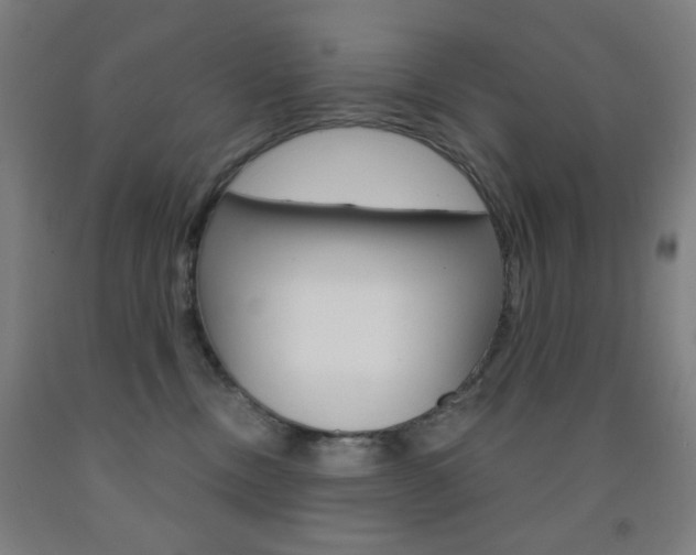 X0000093250378200709261602