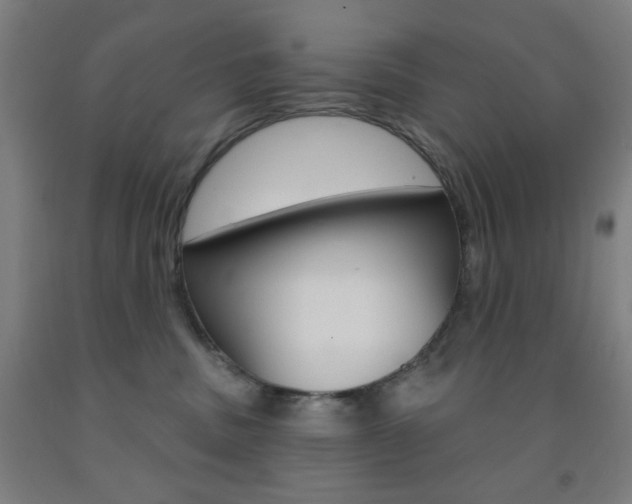 X0000093250379200709261602