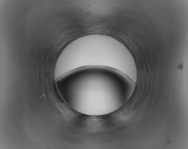 X0000093250380200709261602