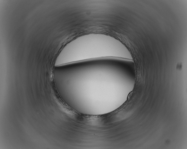 X0000093250383200709261602