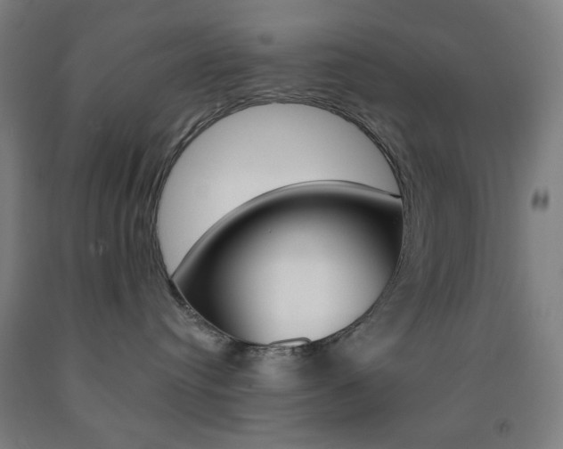 X0000093250384200709261602