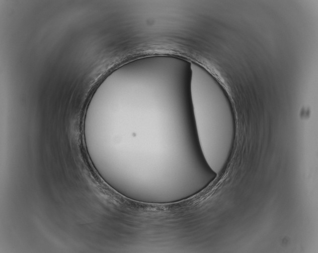 X0000093250386200709261601