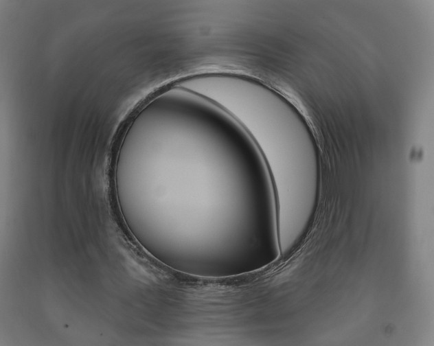 X0000093250387200709261601