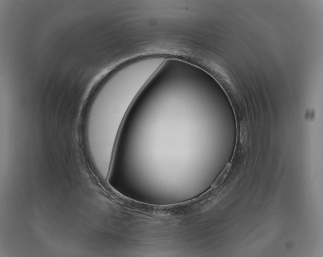 X0000093250388200709261601
