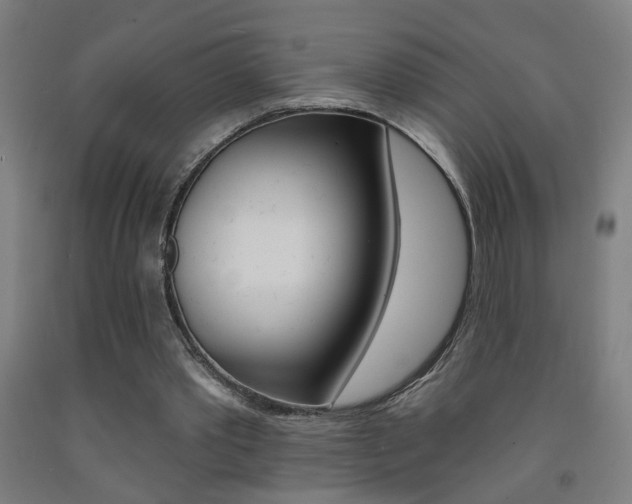 X0000093250389200709261601