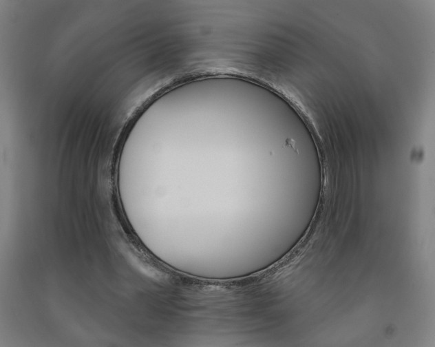 X0000093250390200709261601