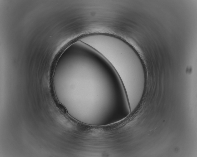 X0000093250391200709261601