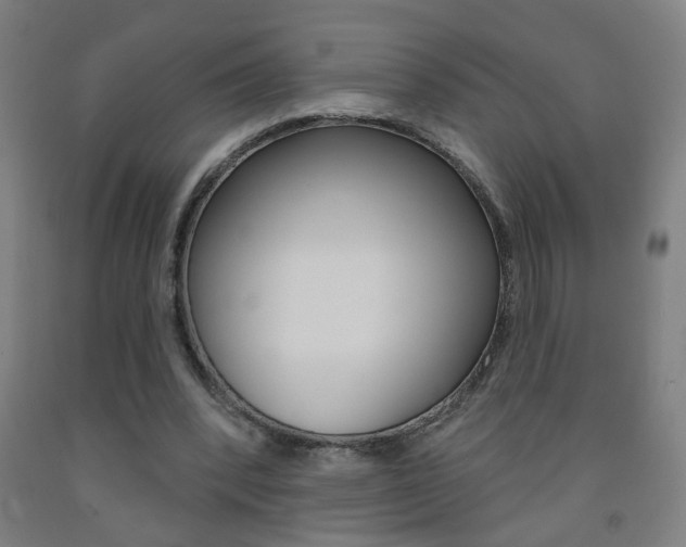 X0000093250392200709261601