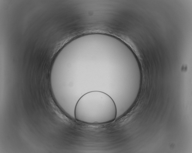 X0000093250393200709261601
