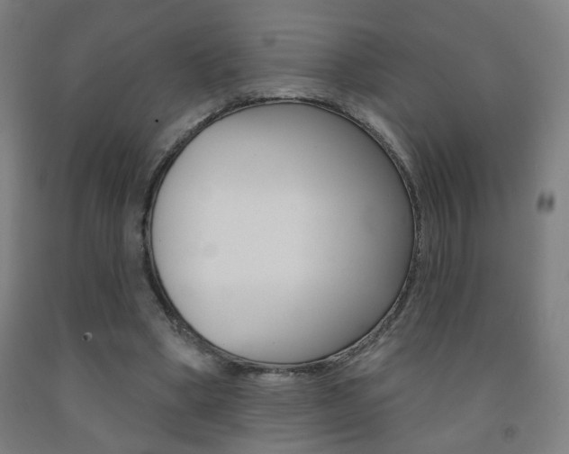 X0000093250394200709261601