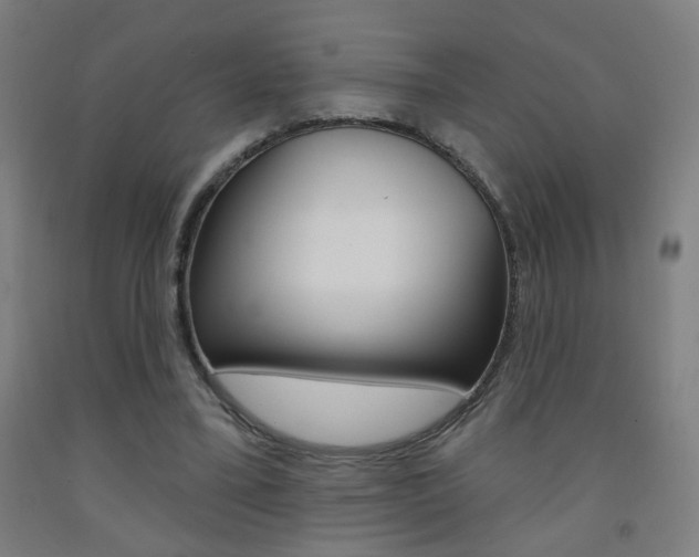 X0000093250395200709261601