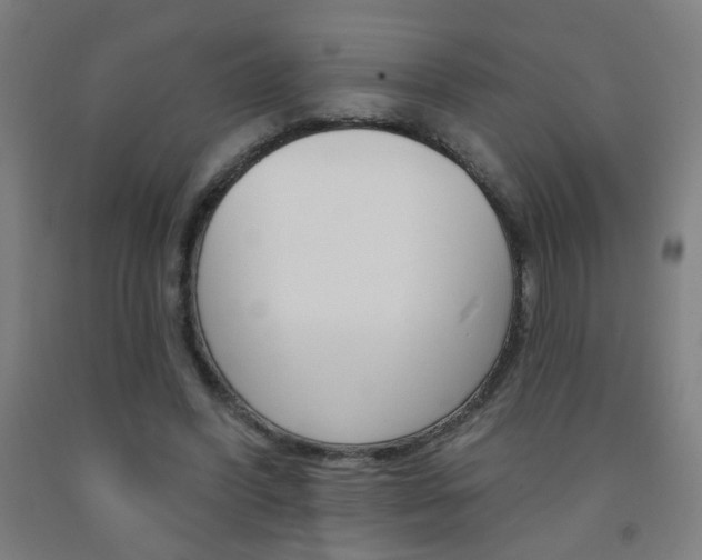 X0000093250396200709261601