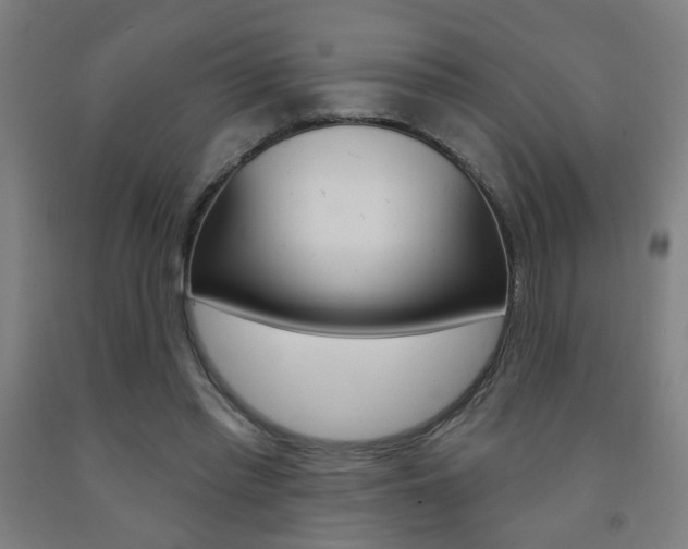 X0000093250397200709261601