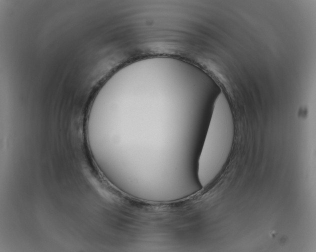 X0000093250398200709261601