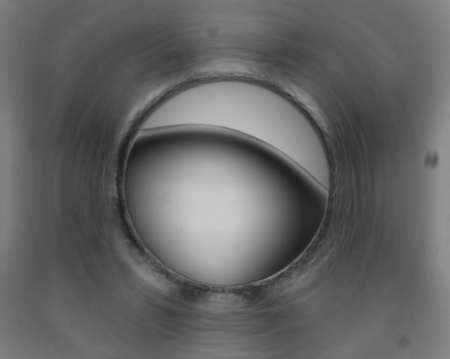 X0000093250399200709261601