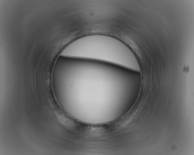X0000093250401200709261601