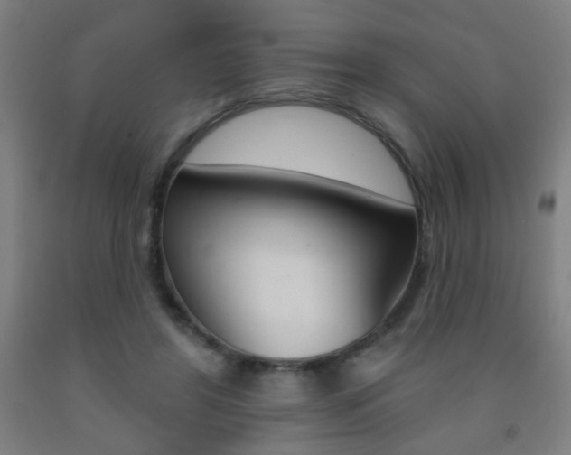 X0000093250404200709261601