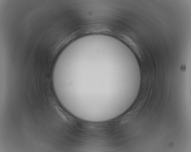 X0000093250405200709261601