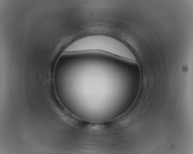 X0000093250407200709261601