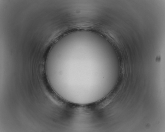 X0000093250408200709261601