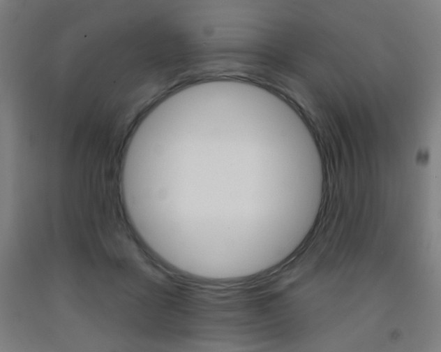 X0000093250411200709261601