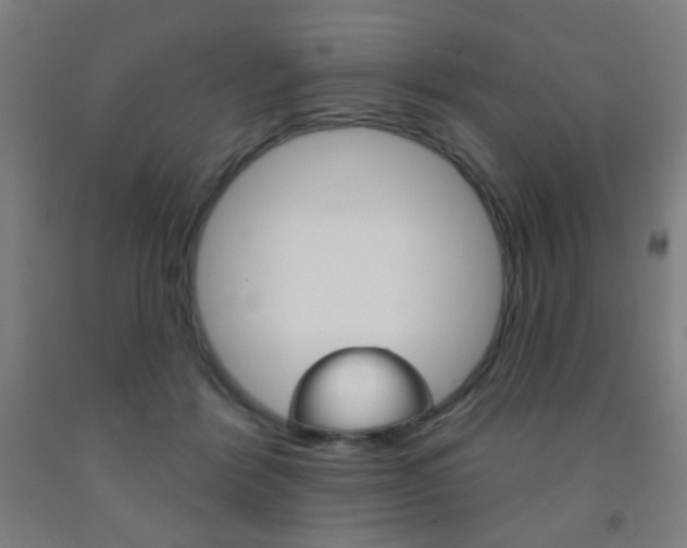 X0000093250412200709261601