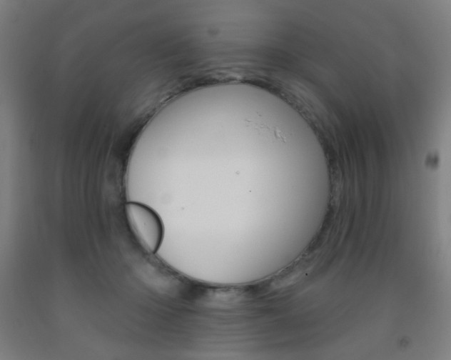X0000093250414200709261601