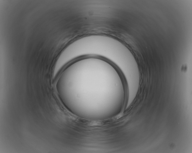 X0000093250415200709261601