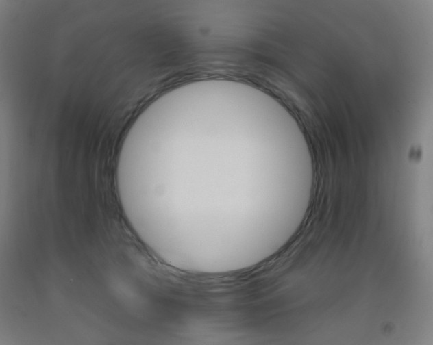 X0000093250417200709261601