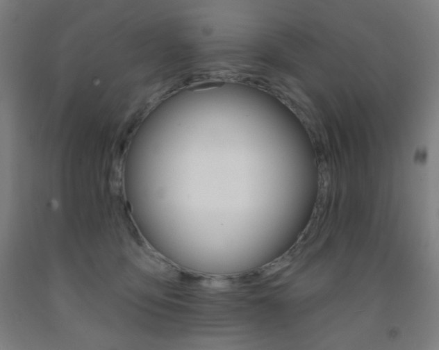 X0000093250419200709261601