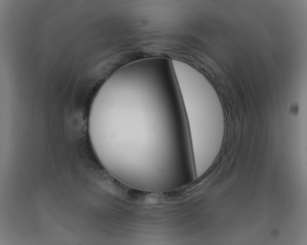X0000093250420200709261601