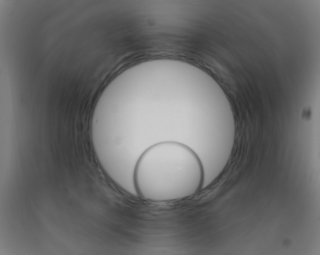 X0000093250421200709261601