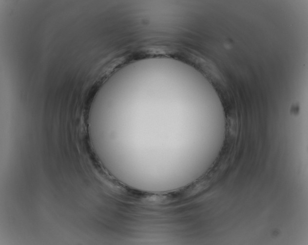 X0000093250422200709261601