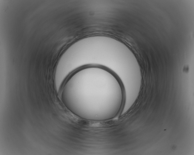 X0000093250423200709261601