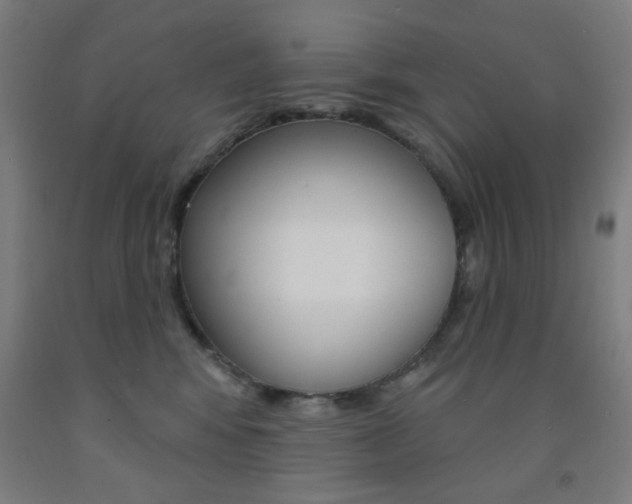 X0000093250424200709261601